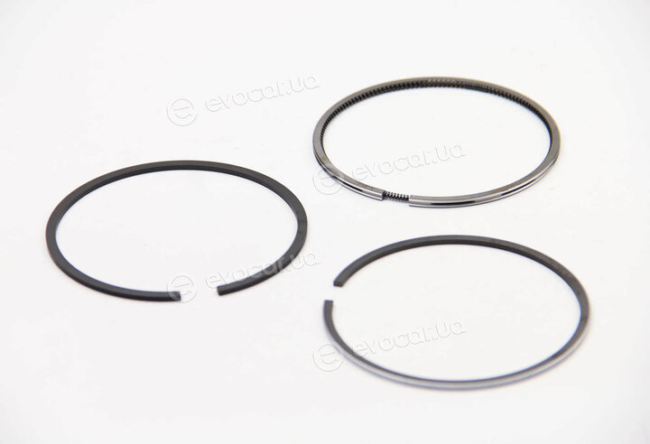 Mahle 039 24 N1