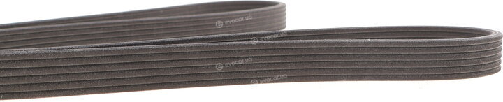 Dayco 6DPK1320