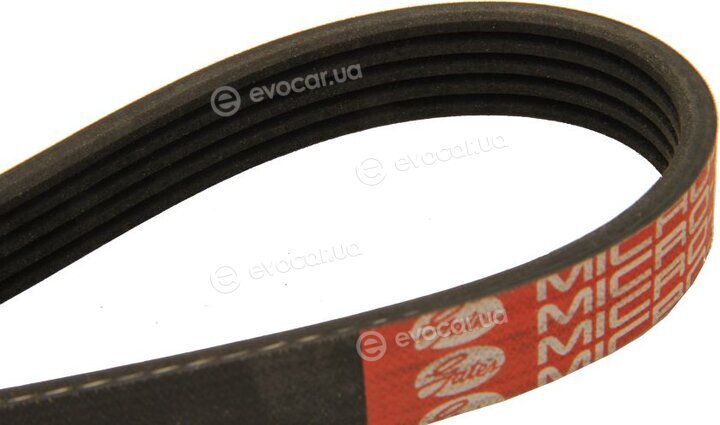 Dayco 5PK785