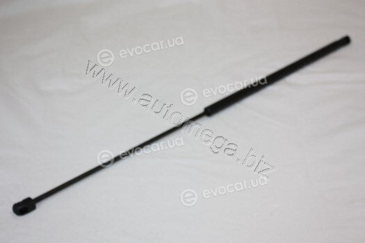 Automega / Dello 3082303593B0A