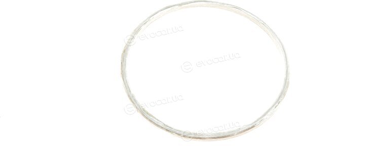 Elring 303.050