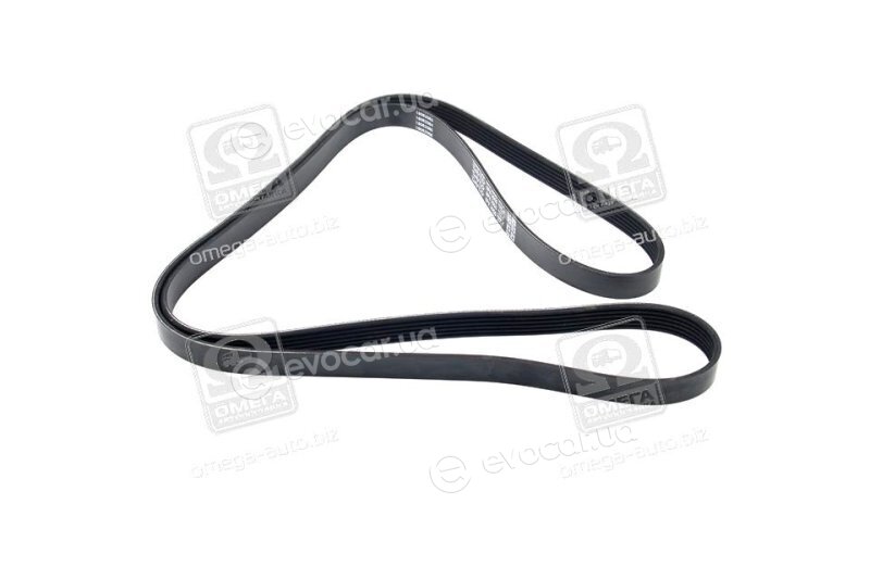 Dayco 6PK2055