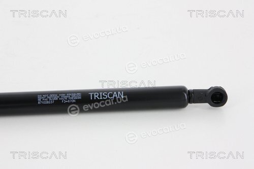 Triscan 8710 28237