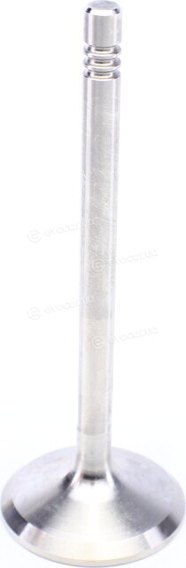 Mahle 029 VA 31097 100