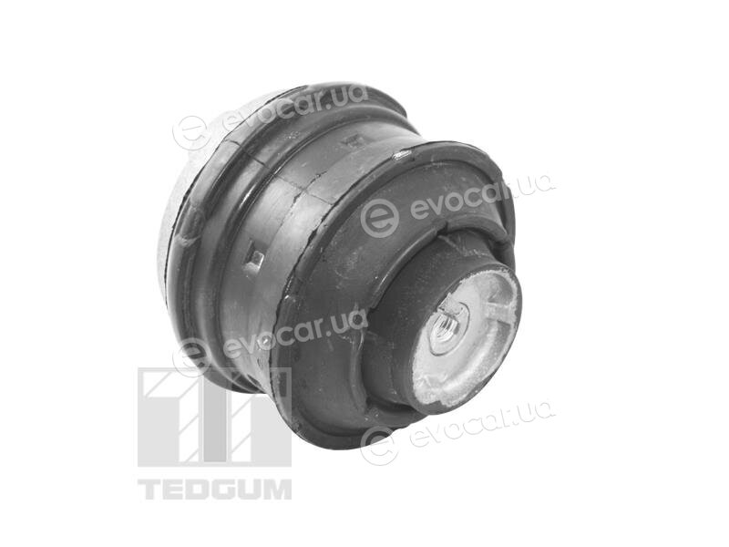 Tedgum TED81021