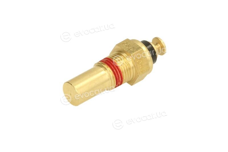 JC K50003D