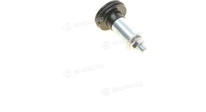 Solgy 306175