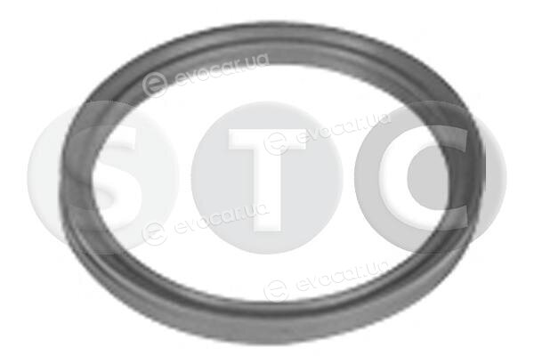 Metalcaucho / STC T498720