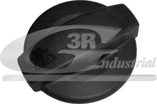 3RG 81731