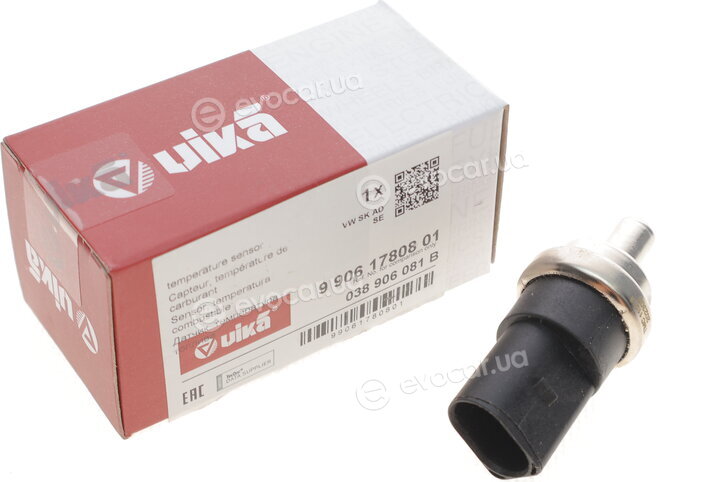 Vika 99061780801