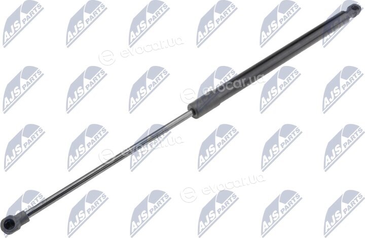 NTY AE-MS-011