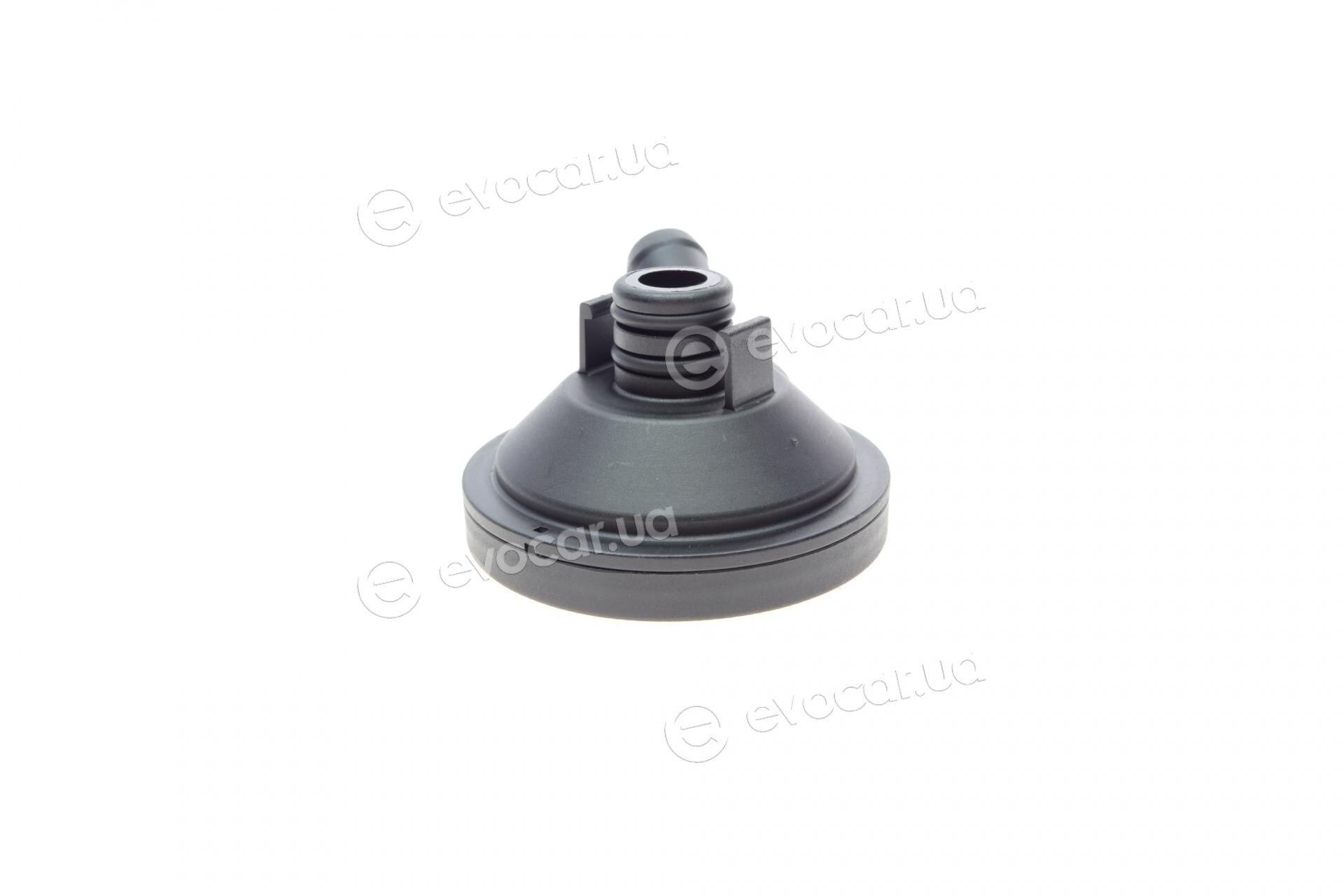 AIC 56449