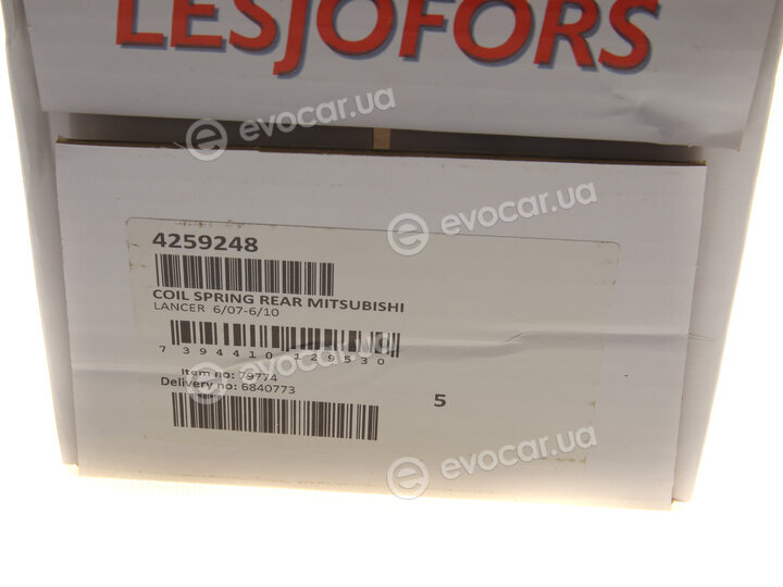 Lesjofors 4259248