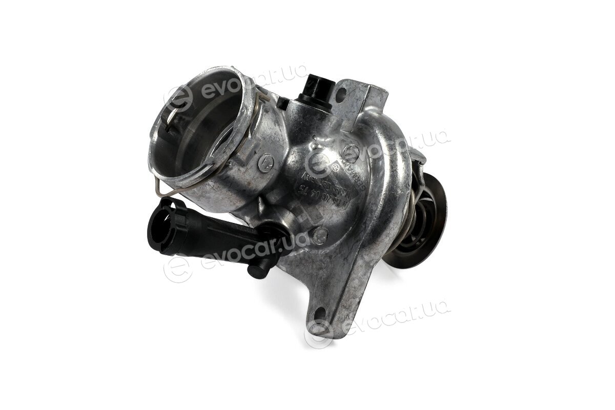 Hepu TM1409