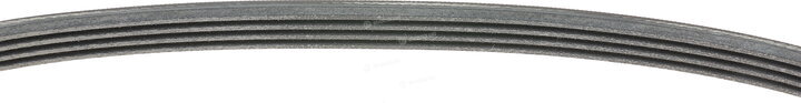 Continental 4PK725