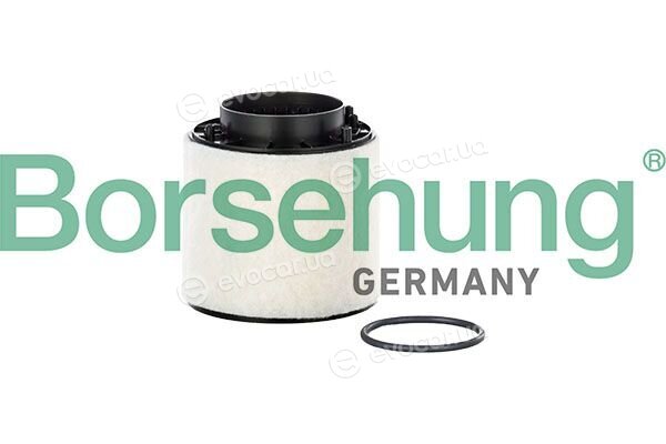Borsehung B13202