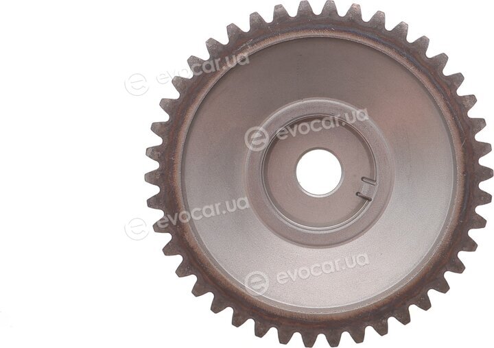 Motive TCK304