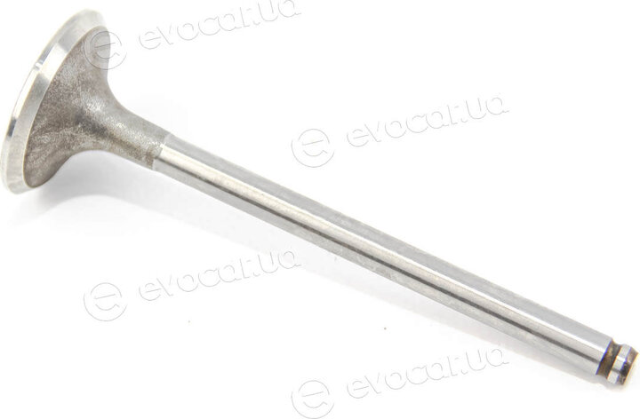 Mahle 021 VE 30846 000