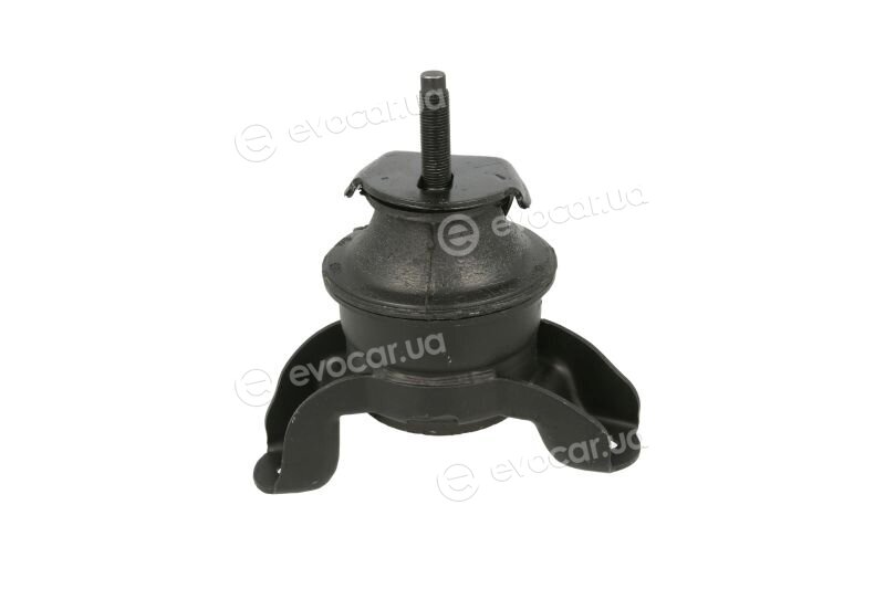 Tedgum TED98654
