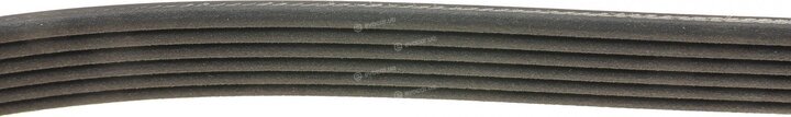 Dayco 6PK2870