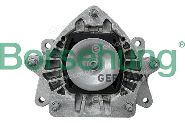 Borsehung B13422