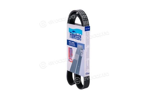 Finwhale BP6PK1043