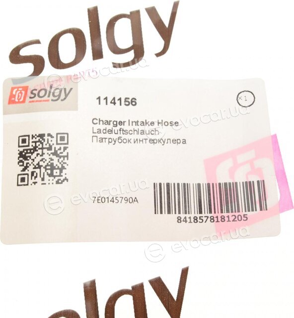 Solgy 114156