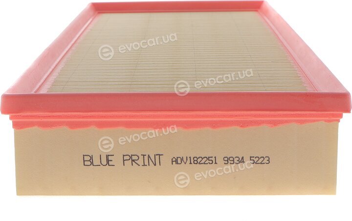 Blue Print ADV182251
