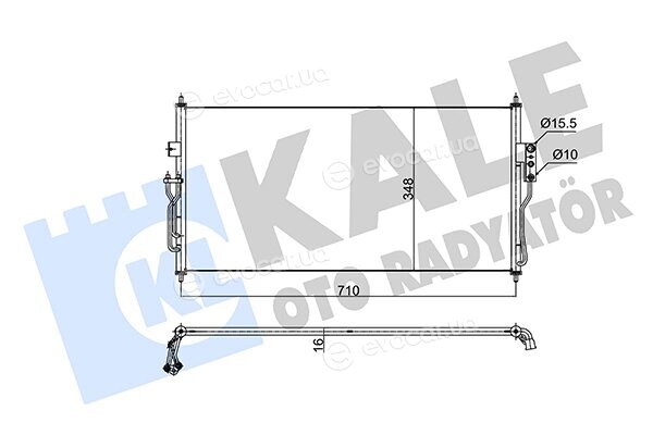 Kale 350645