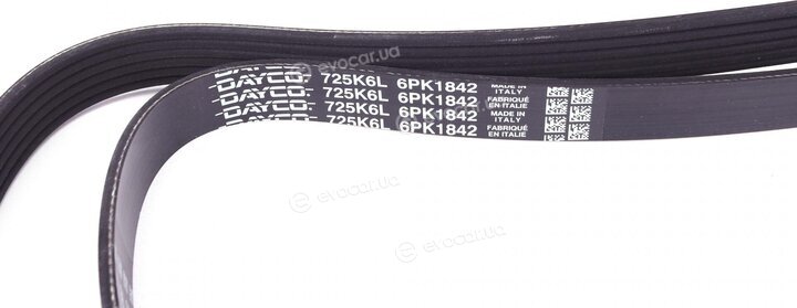 Dayco 6PK1842