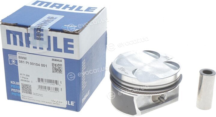 Mahle 081 PI 00104 001