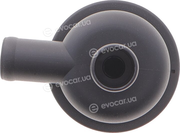 AIC 54558
