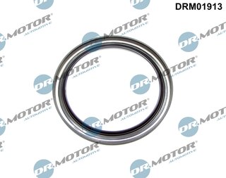 Dr. Motor DRM01913