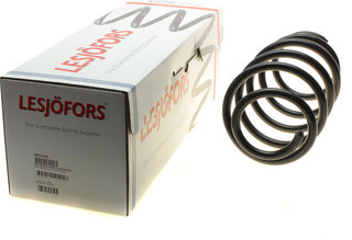 Lesjofors 4075755