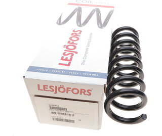 Lesjofors 4256855