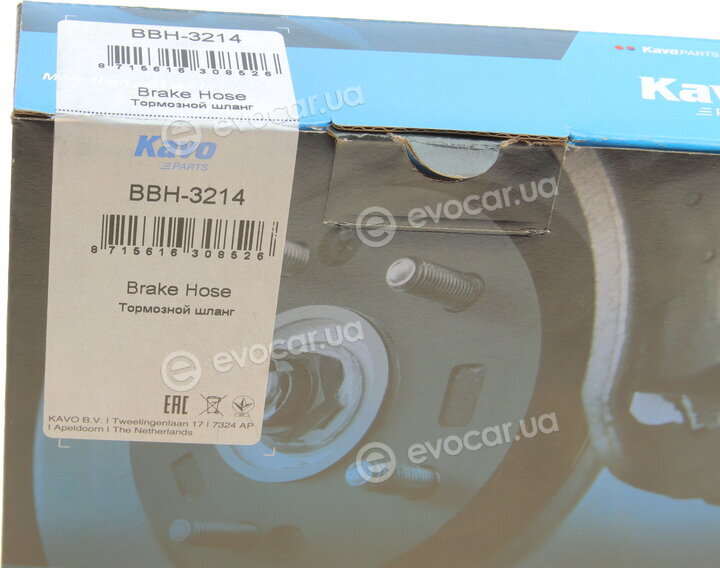 Kavo BBH-3214