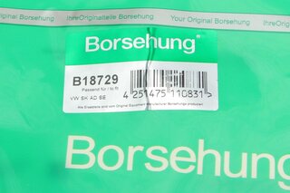 Borsehung B18729