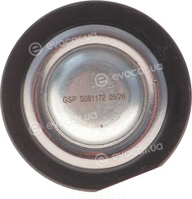 GSP S081172