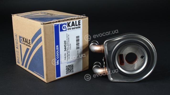 Kale 344520