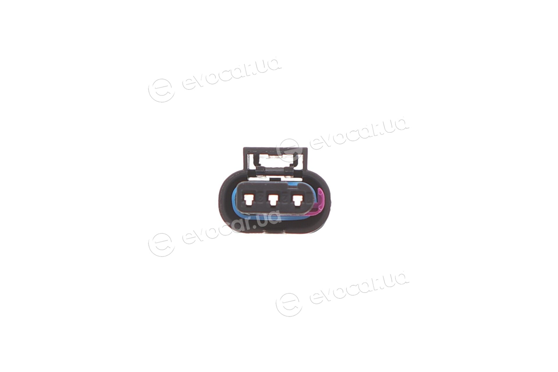 Solgy 412042