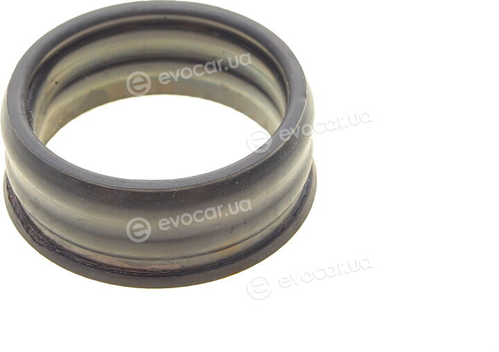 Elring 685.350