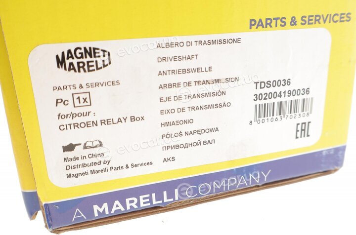 Magneti Marelli 302004190036