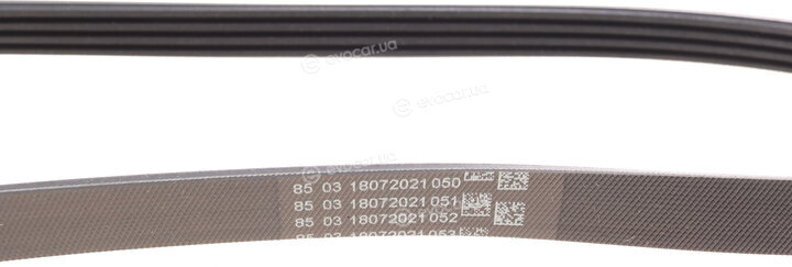 Continental 4PK830 ELAST