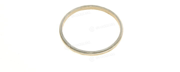 Elring 877.100