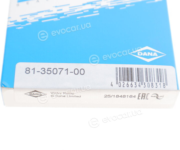 Victor Reinz 81-35071-00