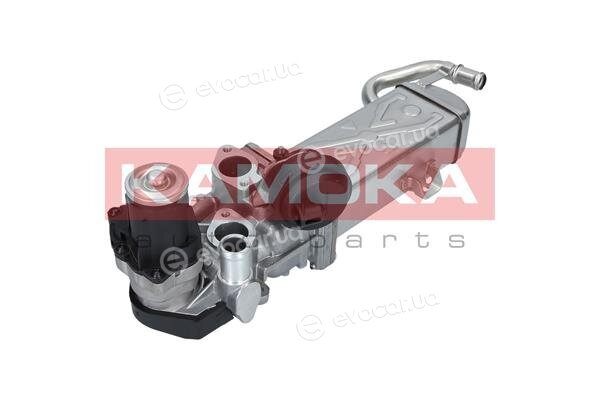 Kamoka 19071