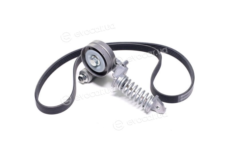 Continental 5PK1230K1