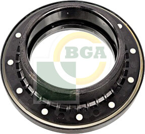 BGA SM2750