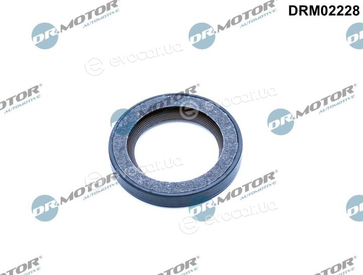 Dr. Motor DRM02228
