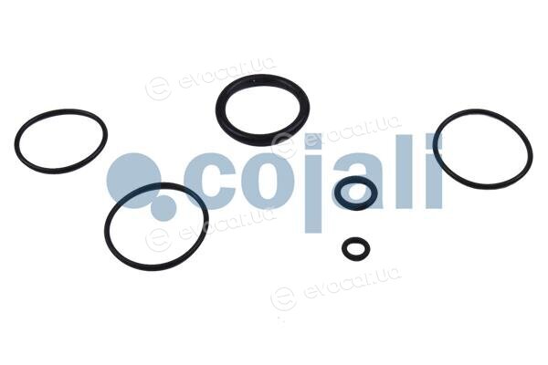 Cojali 6012248